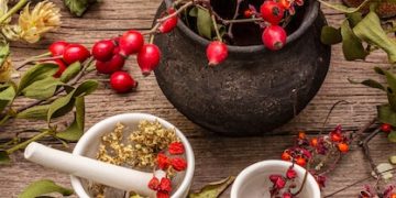 Boost Your Energy: Adaptogenic Herbs Guide for 2025 - Cover Image