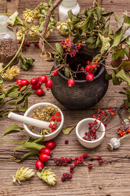 Boost Your Energy: Adaptogenic Herbs Guide for 2025