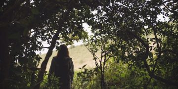 Forest Bathing: Unlock Stress Reduction & Mental Clarity Secrets - Cover Image