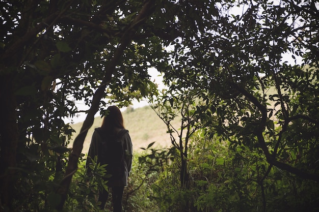 Forest Bathing: Unlock Stress Reduction & Mental Clarity Secrets