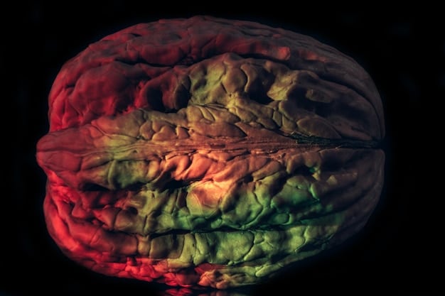 A visual representation of the brain with highlighted areas showing the impact of sunlight on serotonin and melatonin levels.