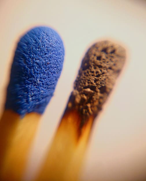 A close-up shot of different makeup brush bristles, clearly showing the texture and shape differences between natural hair bristles (rougher, more porous) and synthetic bristles (smooth, uniform). The lighting highlights the fine details of each bristle type.