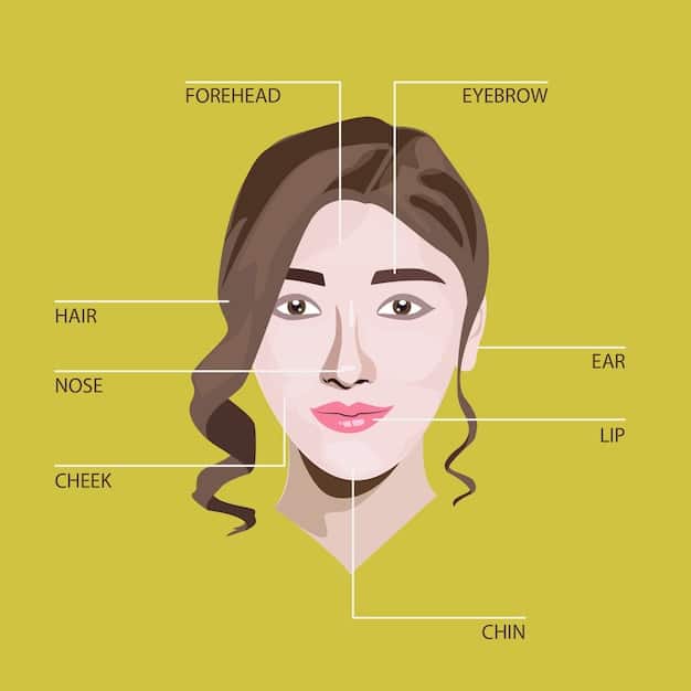 A face chart illustrating different nose shapes and how contouring can be applied to each. Include arrows and labels indicating where to apply contour and highlight for various nose shapes, such as wide, long, or crooked noses.