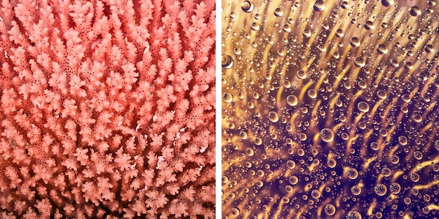 A split image showing two different textures of skin. On one side, dry, flaky skin with visible fine lines. On the other side, hydrated, plump skin with a healthy glow. This visual starkly contrasts the effects of a poor versus a good skincare routine.